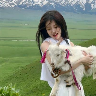 飞女黛丝