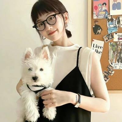 铁甲小宝